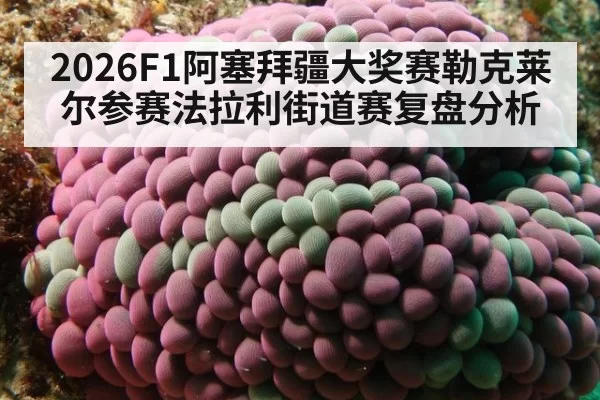 2026F1阿塞拜疆大奖赛勒克莱尔参赛法拉利街道赛复盘分析